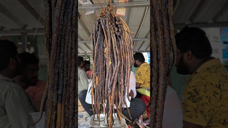 అమ్మో ఏంటిది😳ఇలా ఉంది ఈరోజు ఉప్పుచేప పప్పుచారు|#shorts #snakefish #recipe #youtubeshorts #seafood