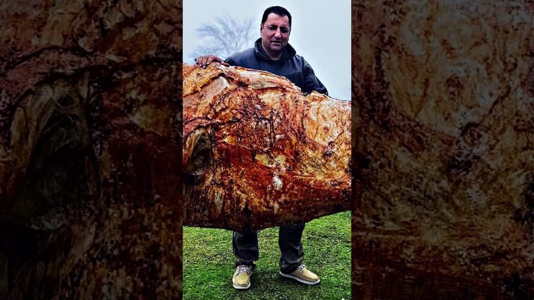 🍖 Delicious Whole Roasted Bull – Nature Cooking