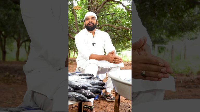 #FishMandi | Authentic Arabic Fish Mandi Recipe | #TandooriFish | #ytshorts | #foodshorts