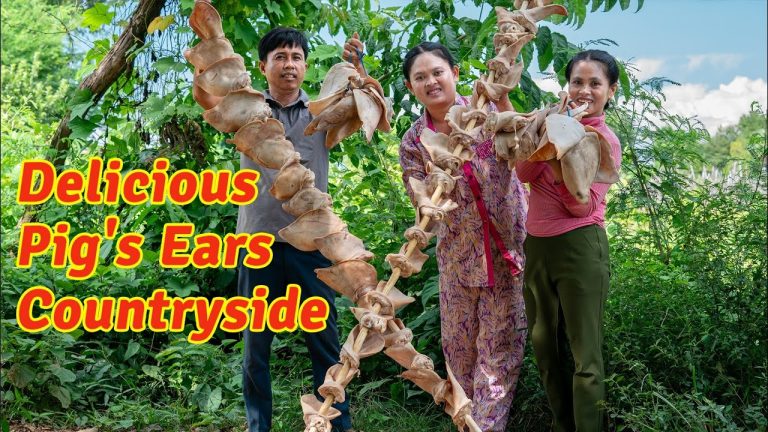 How to Cook Delicious Pig's Ears in the Countryside, Kitchen Foods Special