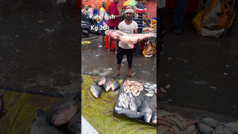 Rohu fish #viralvideo #fishcuttin #fishcuting #seafood %#seafoodrecipes
