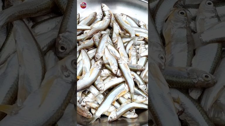 मसालेदार छोटी मछली फ्राई करने का सही तरीका | Small Fish Fry Recipe | #fishfry #shorts