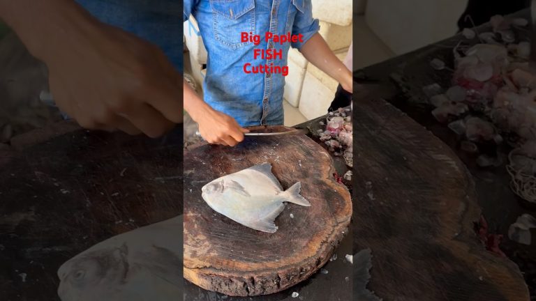 Papelt #fishcuttin #viralvideo #fishcuting #seafood #fish #food #freshwaterfish #seafoodrecipes