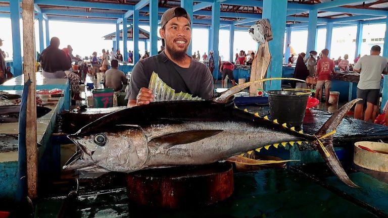 Live 09 Okt 🔥🔪🔥 yellowfin tuna cutting skills di Pasar Ikan Jembatan Puri Kota Sorong Papua