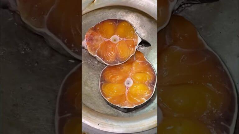 Bagha Ayer Fish Curry Recipe #shorts #asmr #cooking