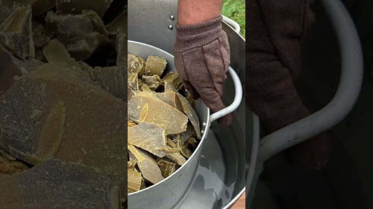 Wilderness Meat Recipe: Cooking with Beeswax for Incredible Flavor