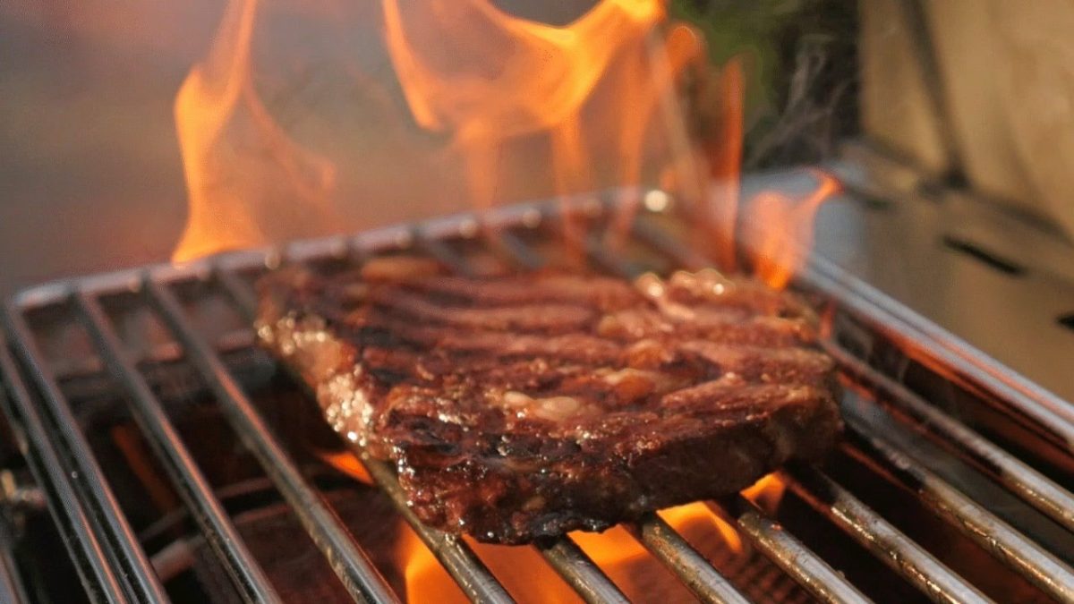 Is this the best gas grill money can buy?   NAPOLEON PRESTIGE PRO 500 – Gas Grill Review