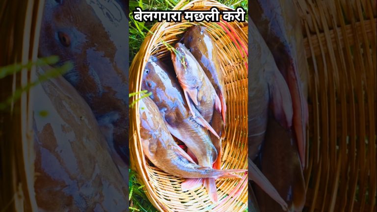 Belgagra Machhali Kaise banaye || सरसों वाली मसालेदार चटकदार मछली करी || Fish Curry recipe #shorts