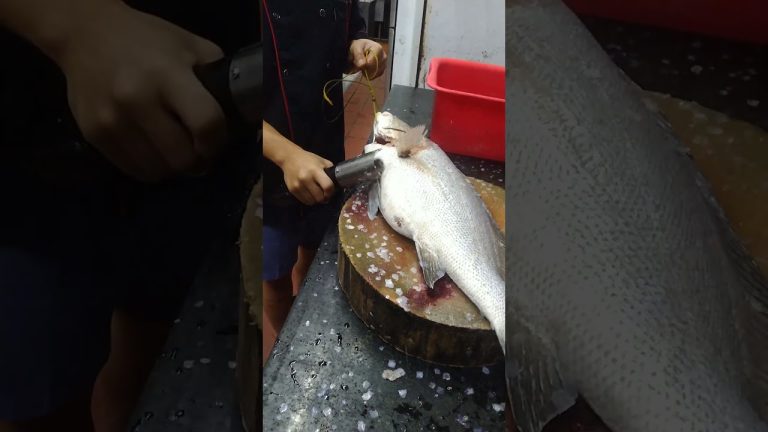 fish cutting #food #sushii #seafood #cooking #sushistyle #seafoodrecipes #sushi