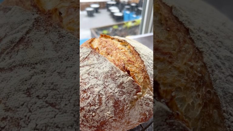 Whole Wheat No knead Bread | Urban Farm and Kitchen