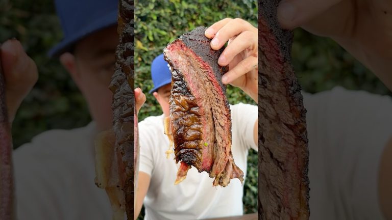 Ordered a Dino Rib 🦕🍖 #dinosaur #bbq #ribs