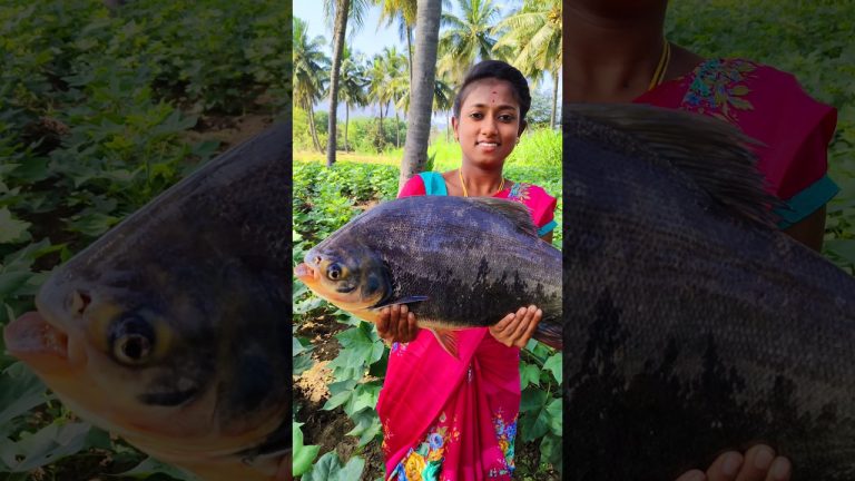 Pomfret Fish Fry #shorts