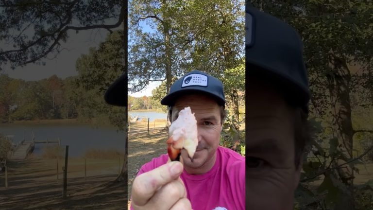 Best Sauce for Stone Crabs? Aioli? #seafood #stonecrab #crab