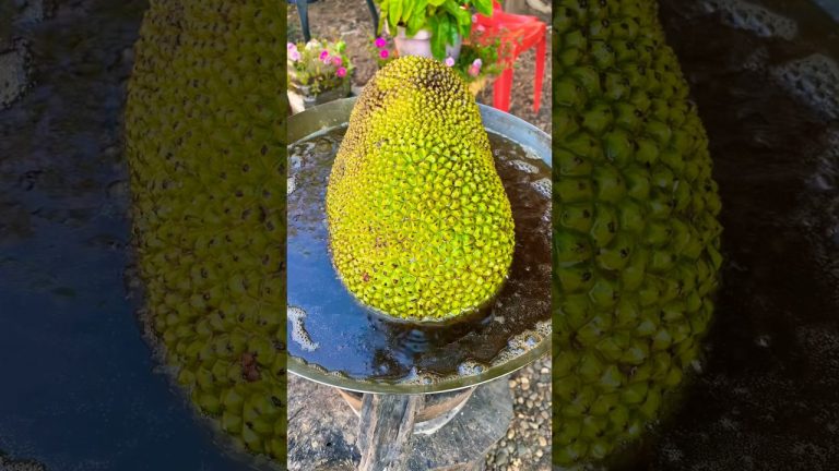 Caramelized pork leg and jackfruit recipe 🍈🍈🍈 #shorts