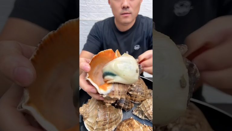 Cat's Eye Snail” “Seafood delicacies tempt you” “Delicious home cooking