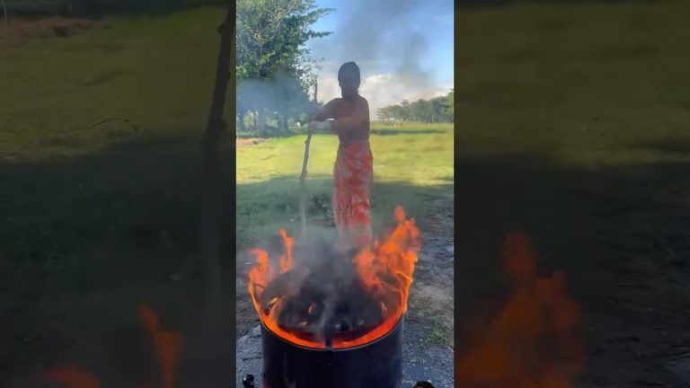#food #snail #cooking #snailcurry #seafood #snaillove #mukbang #chinesefood #recipe #shortvideo #fyp