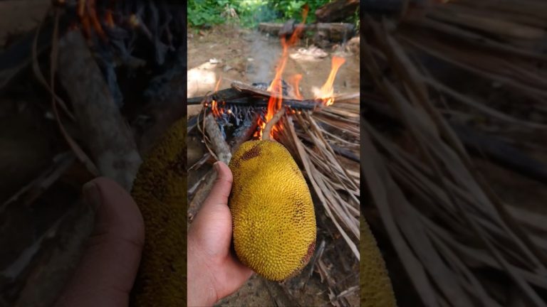 කොහොම හැදුවත් සුපිරිම රසක් තියෙන්නේ Roasted baby jackfruit Sambol #viralvideo #shorts
