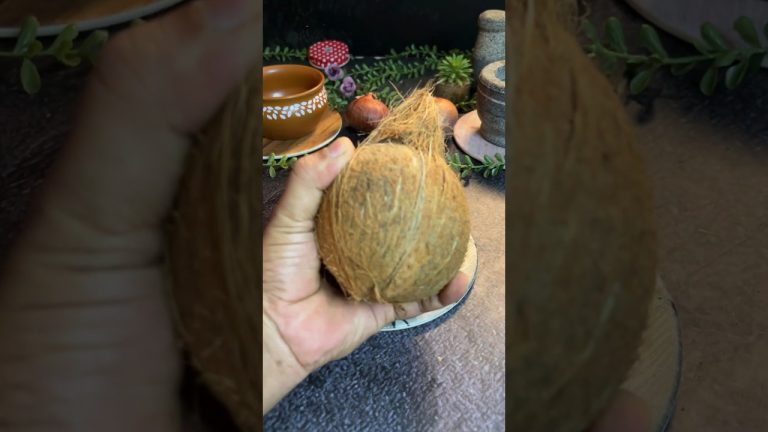 Coconut 🥥 Milk 🥛 #coconutmilk #milk #coconutmilkshake #nariyal #recipe #recipes #drink #drinks