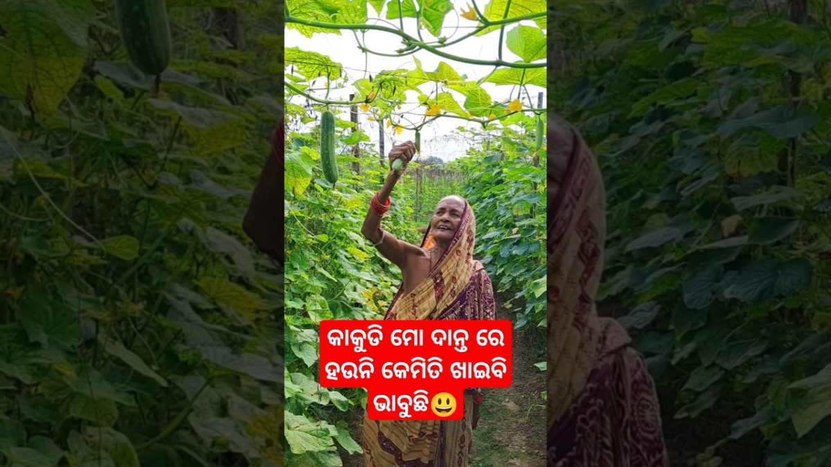 ମା ଗଲେ ବିଲ କୁ😃 #shorts #recipes #food #joshnahomekitchen #viralshorts