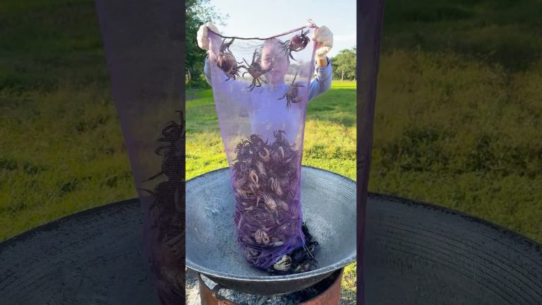 Crab crispy cook recipe and eat #shortvideo #shorts #recipe #food #cooking