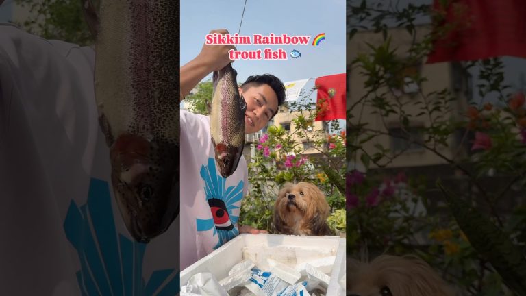 Sikkimese Rainbow Trout Fish Curry in Bengal Style || Dhonepata Trout recipe #food #shorts