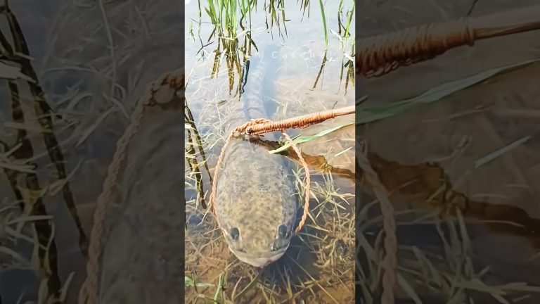 #subscribe #seawaves #seafood #viralvideo #waves #fish #travel #sea #ocean #seafoodrecipes