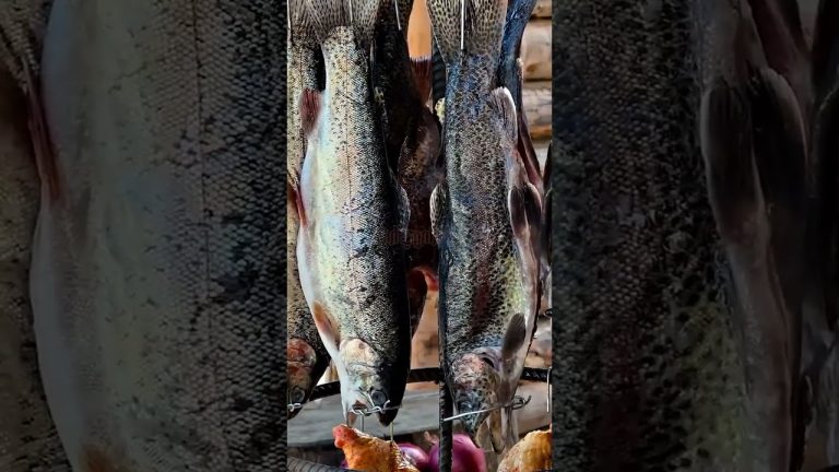 The Most Delicious Recipes For Smoked Meat 🤤