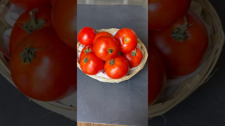 Viral Recipe Tomato Chutney #shorts #food #cooking #viralrecipe #trending #trendingshorts #foodie