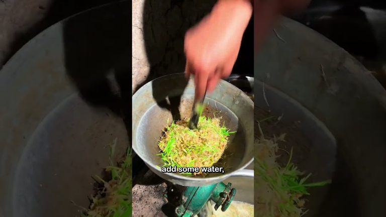 It’s not too sweet, but it has a delightful aroma and a chewy texture #shorts