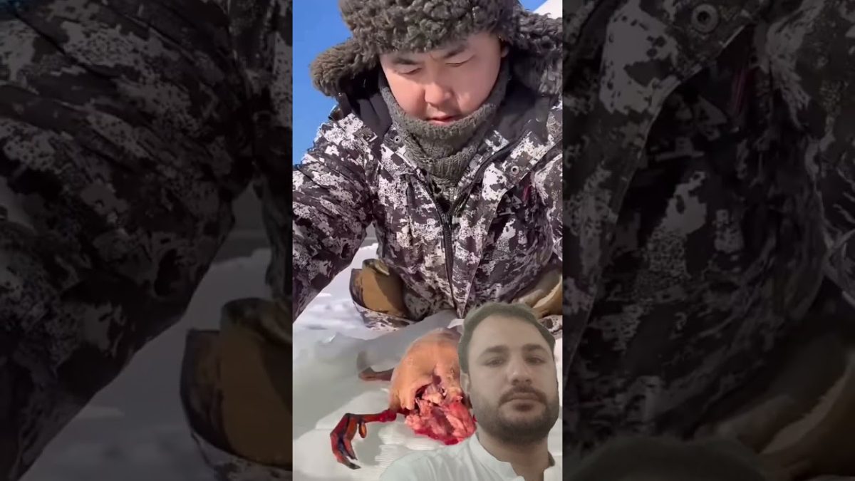 #permafrost #winter #food #seafood #outdoorcuisine #seafoodrecipes #fishing #primitivecamping #fish