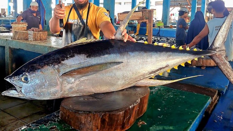 Live 08 Nov 24🔥🔪🔥 yellowfin tuna cutting skills di Pasar Ikan Jembatan Puri Kota Sorong Papua
