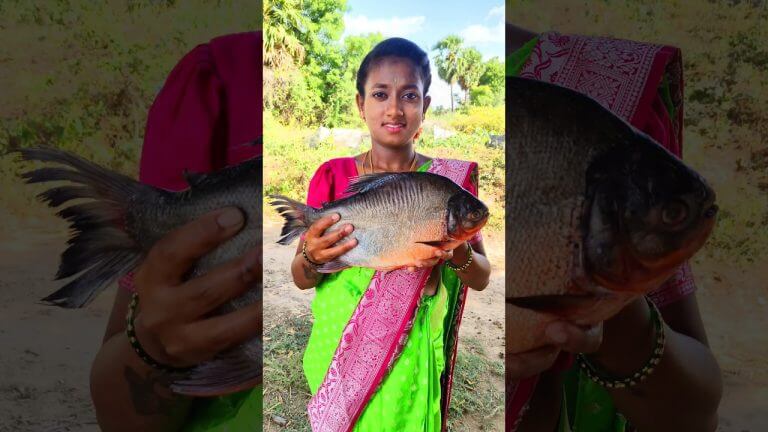 Red Pomfret Fish Oil Fry #shorts