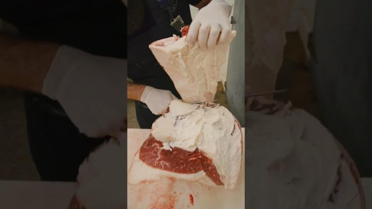 Check out this MASSIVE Wagyu Brisket! 🔥🥩 #shorts #wagyu #brisket #bbq