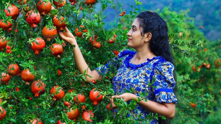 The Best Pomegranate Delights 🍷 Aloe Vera Juice, Roasted Chicken Legs & Mixed Fruit Glacier Dessert