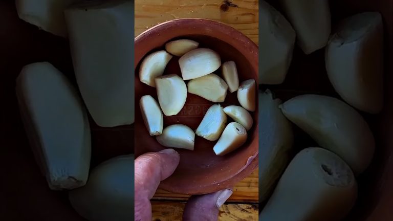 🍖 Whole Beef Thigh Recipe in Winter – ASMR Nature Cooking