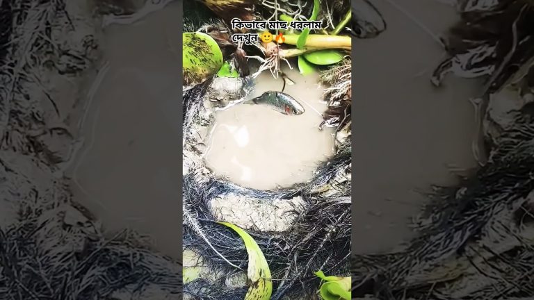 #subscribe #fishing #seafood #seawaves #viralvideo #fish #sea #waves #seafoodrecipes #travel