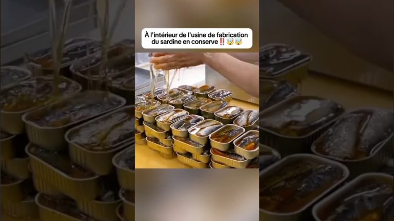 Comment sont fabriquées les sardines en conserve 🤯 #fish #food #delicious #productivity #pourtoi