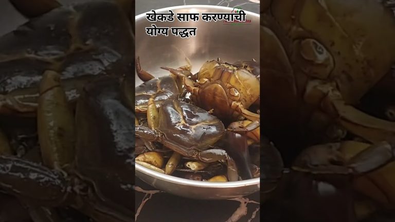 🦀 खेकडे साफ करण्याची योग्य पद्धत #crabrecipe #marathirecipe #crab #recipe #seafood