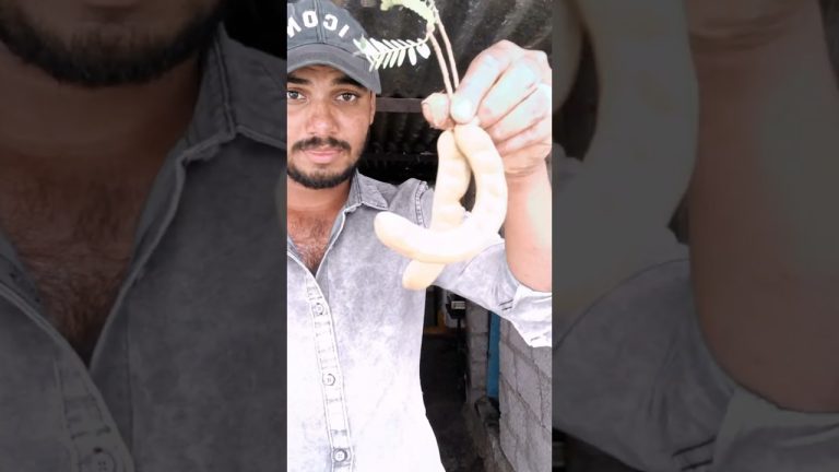 చింతపండు పచ్చడి 🤤🤤