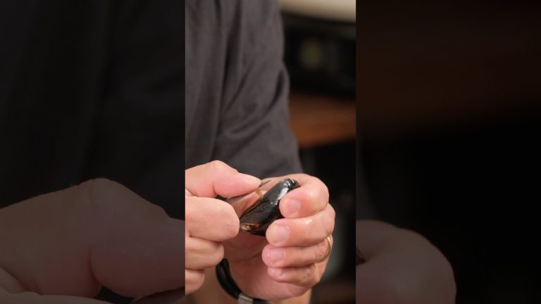 Comment bien nettoyer des moules #moule #cuisinefrançaise