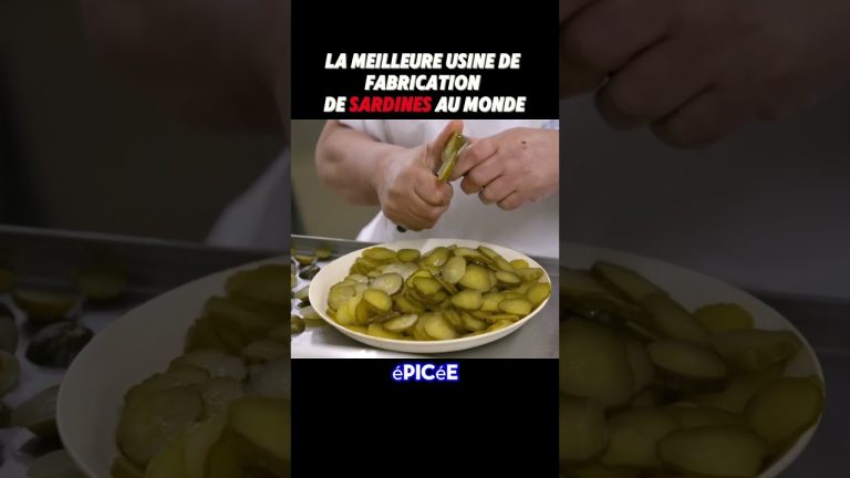 Le Secret de la Meilleure Usine de Sardines du Monde!