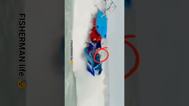 FISHERMAN LIFE 😩😓 #fishing #seafish #seafood #fish #seafoodrecipes