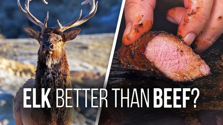 How to Cook ELK STEAKS – Is Elk Better Than Beef?