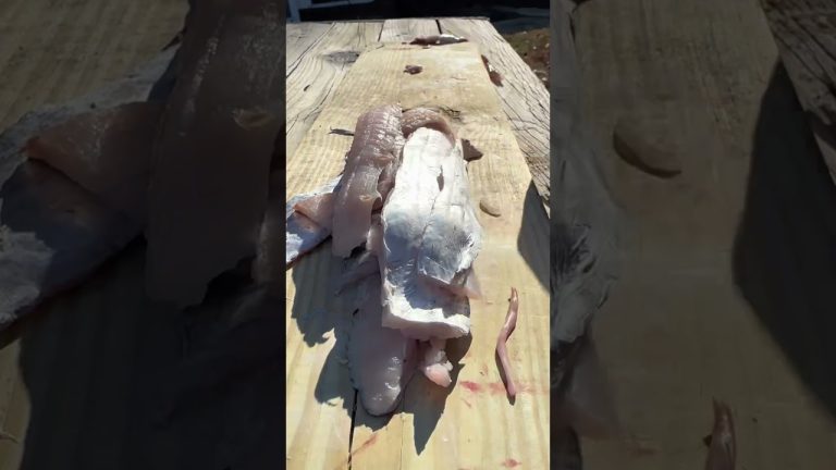 Cutlassfish taste like… #seafood #ribbonfish #fishrecipe