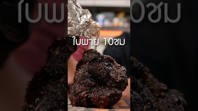 #เนื้อใบพาย ทั้งก้อน #เนิร์ดเนื้อ เอาไปรมควัน 10ชม #วิธีทำเนื้อเหนียวให้นุ่ม #ทำอาหาร #สเต็ก #steak