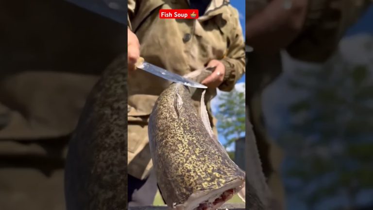 Fish Soup 🍲 #food #cooking #fish #outdoorcooking #foodie #seafood #soup #thaifish #seafoodrecipes