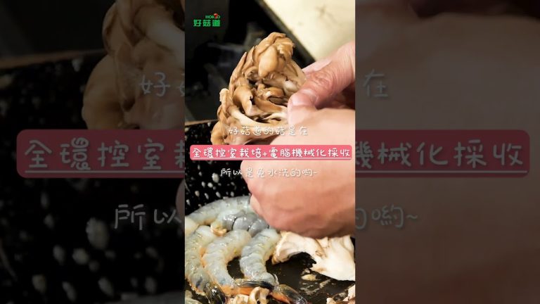 避風塘炒舞菇｜姆士流簡易版本，脆爽鮮嫩｜好菇道小教室EP.03 [詹姆士]