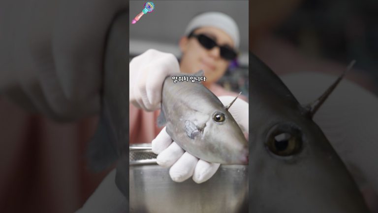 쥐포 만드는 생선???