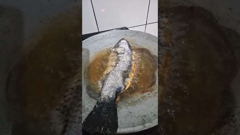 Peixe no disco de arado e outro nível
