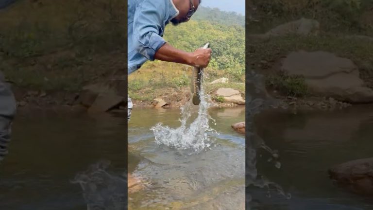 Suka Tenga Mas | Fish With Sour Leaves | Outdoor Cooking | Adventure | Cooking in the Jungle | Viral